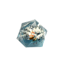Sirius Dice - Magic: The Gathering - Avatar: The Last Airbender - Aang & Appa - 55mm Spindown Life Counter