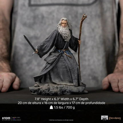 Iron Studios - The Lord Of The Rings - Gandalf BDS Art Scale Statue 1/10 - The Card Vault
