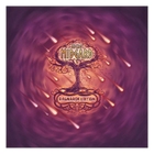 Micro Midgard Ragnarok Edition official retail game image