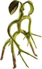 The Noble Collection - Fantastic Beasts - Bowtruckle Bendyfig Action Figure - The Card Vault